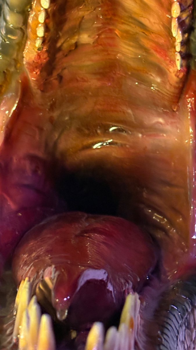 なーさん tweet media