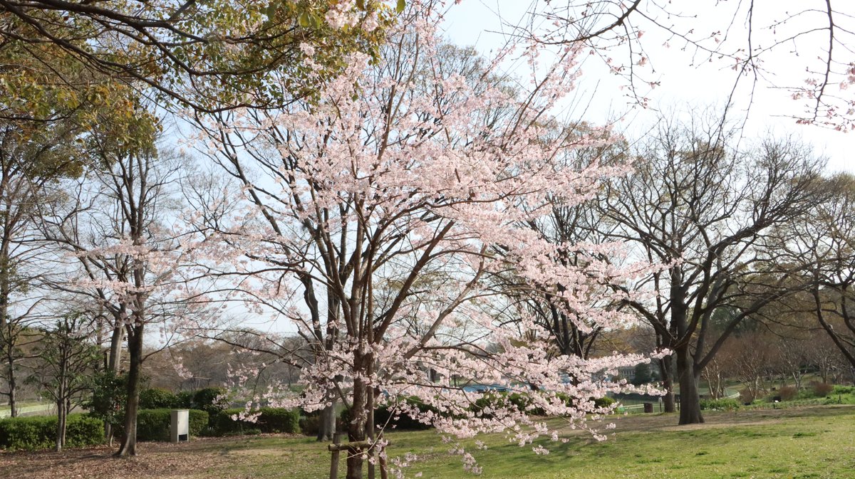 長居植物園 tweet media