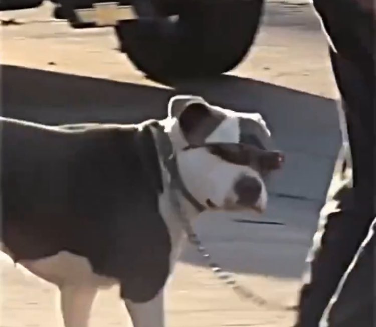 Vicks_inhaler tweet media