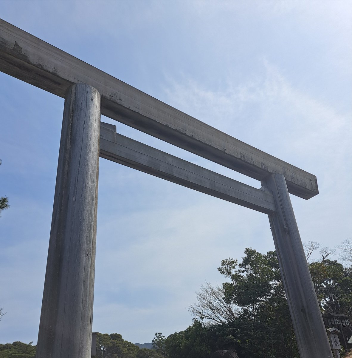 スナリ tweet media