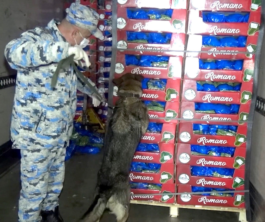 Dövlət Gömrük Komitəsi tweet media