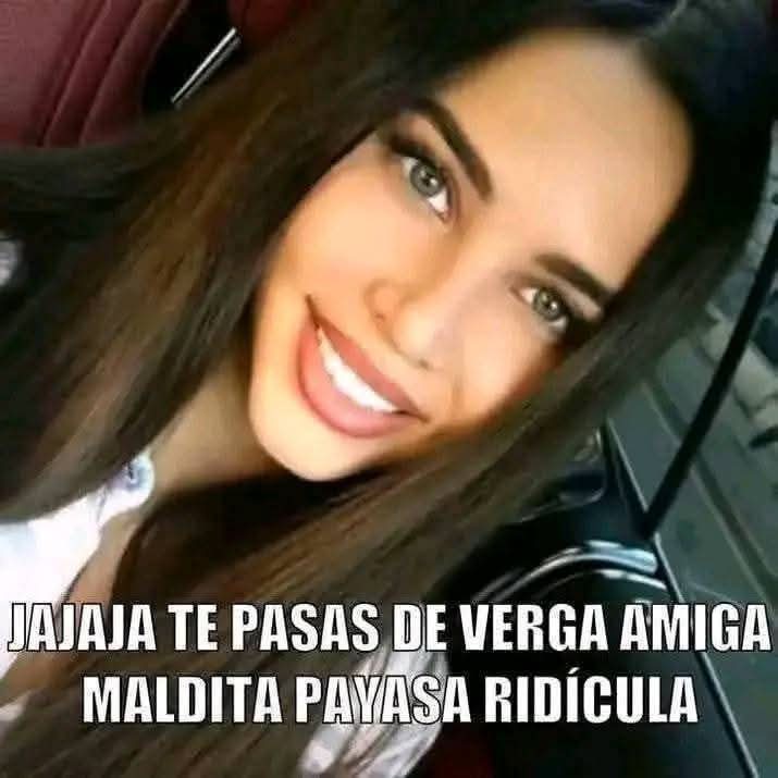 𝔅𝔦𝔪𝔟𝔬𝔠𝔬𝔯𝔢 tweet media