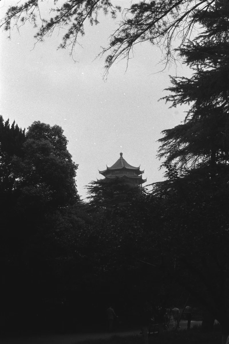 GloryJavis-HHRY tweet media