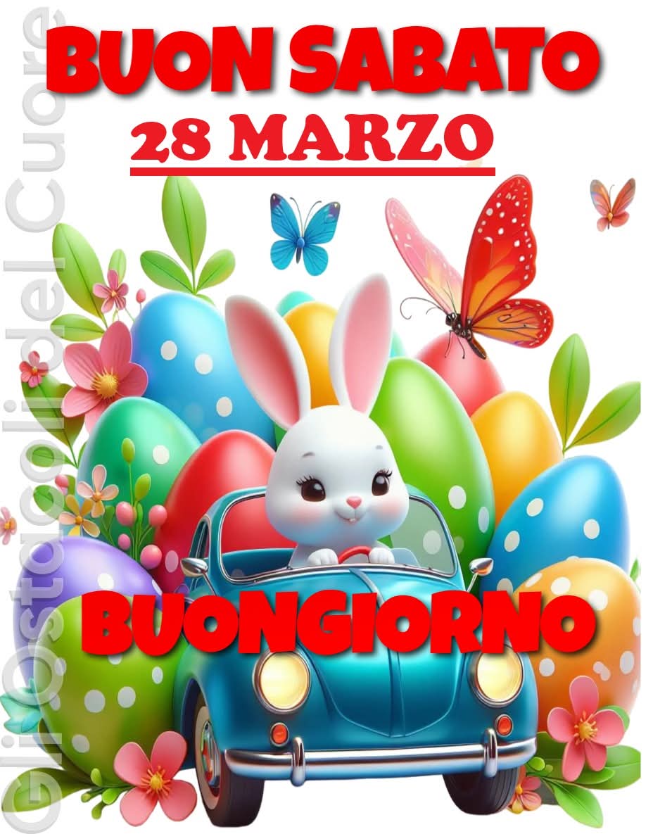 alessandra sposito tweet media