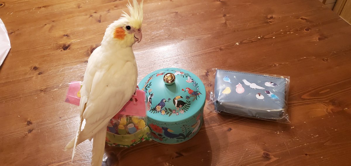 認定NPO法人TSUBASA -新施設クラファン達成しました！- tweet media