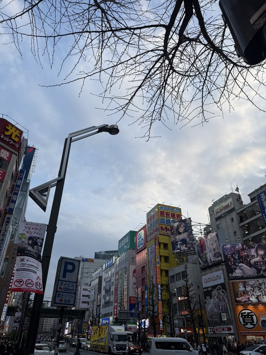 かちょう@ tweet media