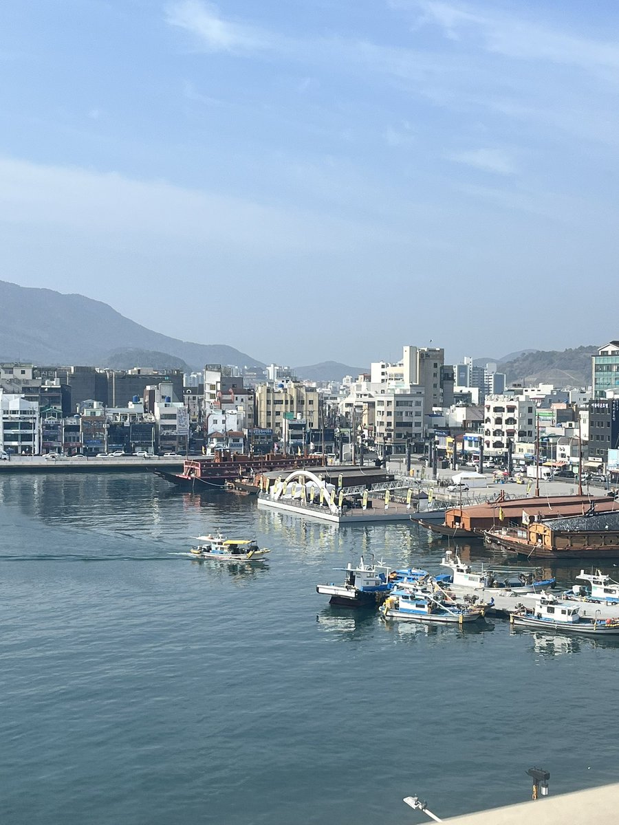 션 SEAN tweet media