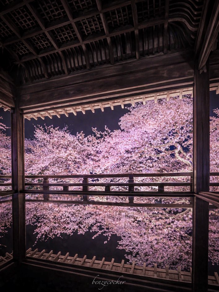 ベンジー tweet media