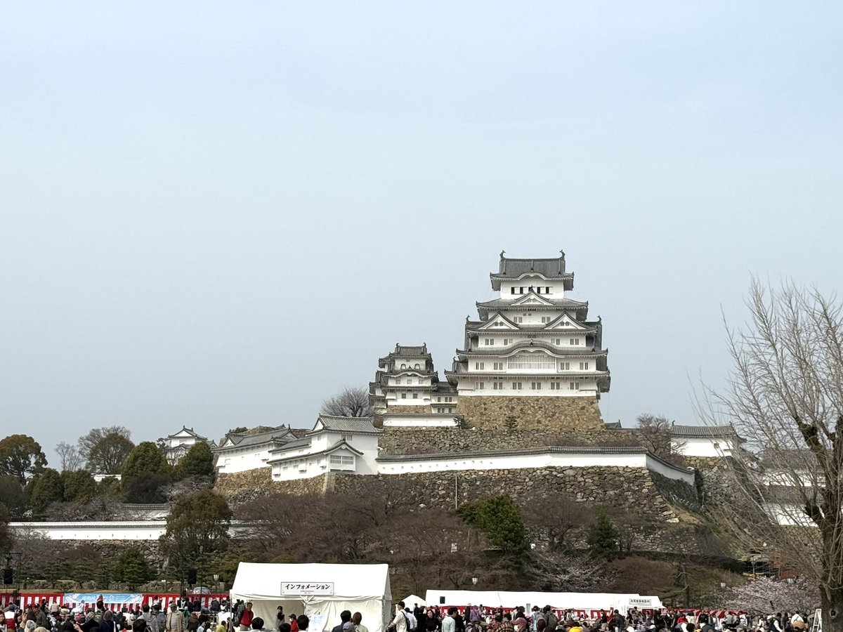 Dr.Tommy "平田朋久(旧姓:河野)" tweet media