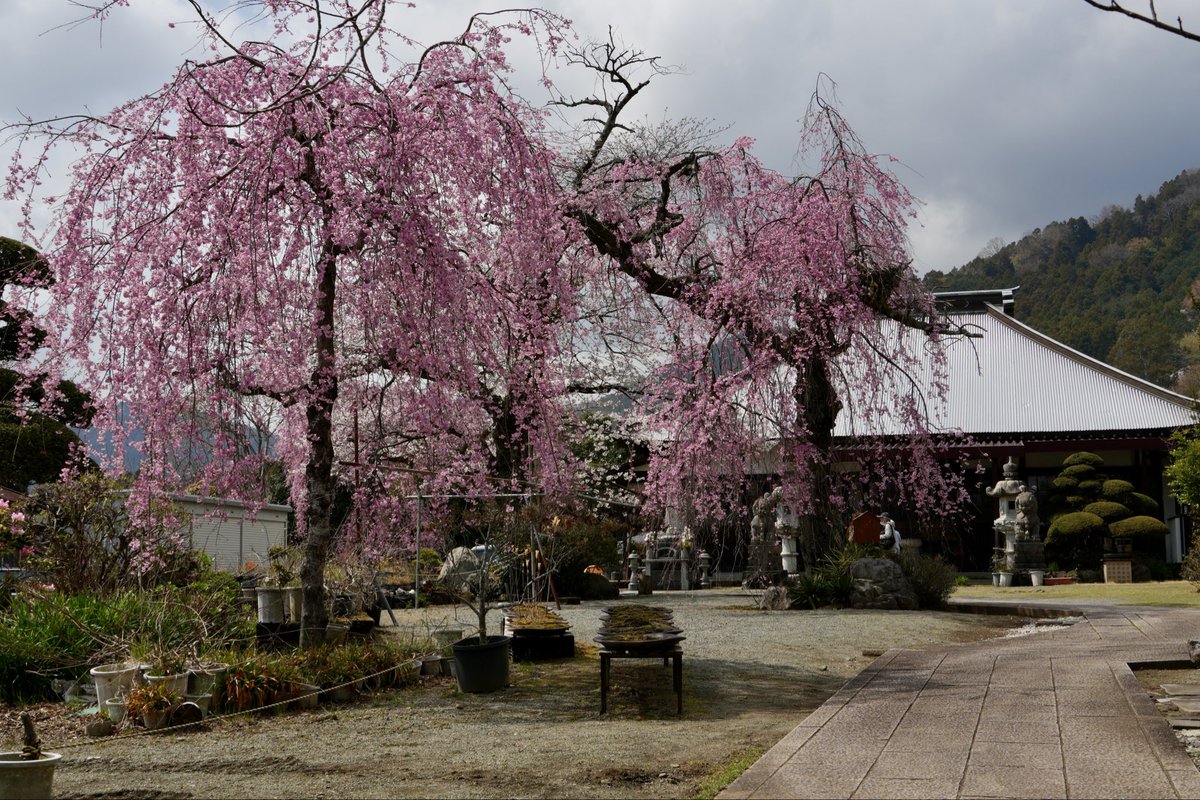 hyotanh / 秦野丹沢箱根 🏔️ tweet media