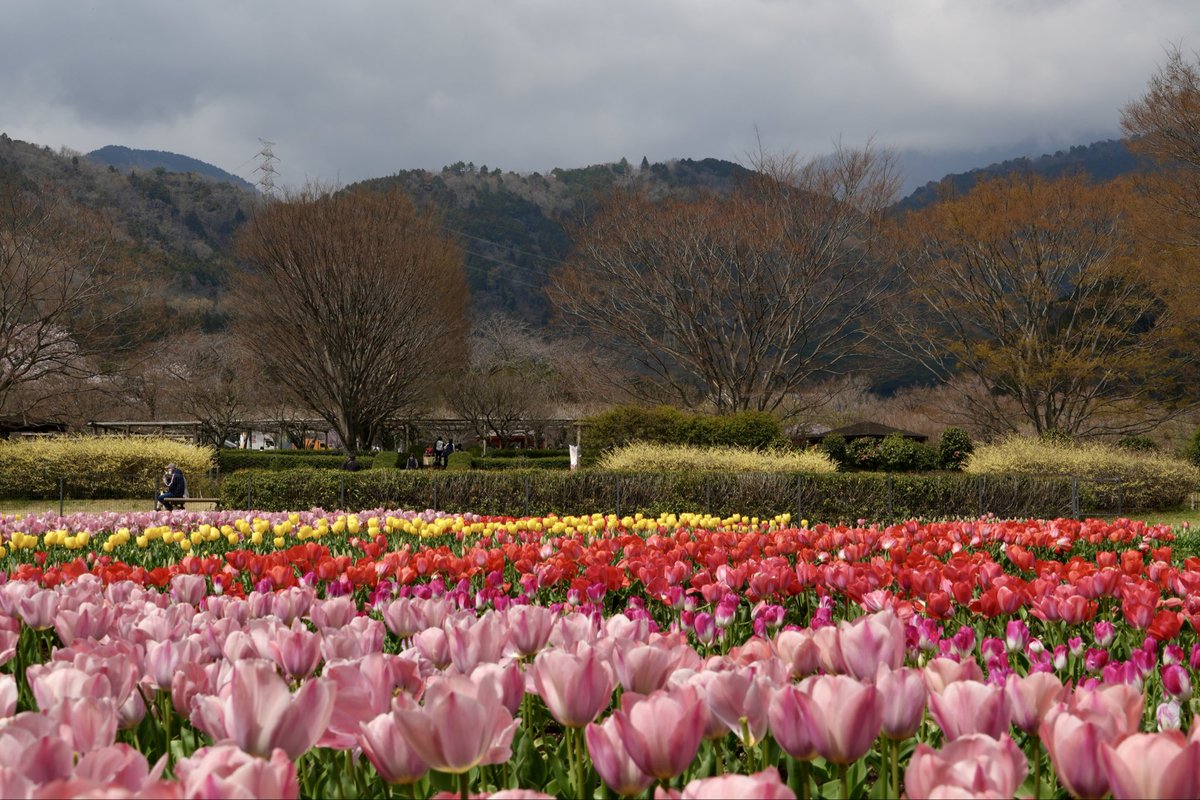 hyotanh / 秦野丹沢箱根 🏔️ tweet media