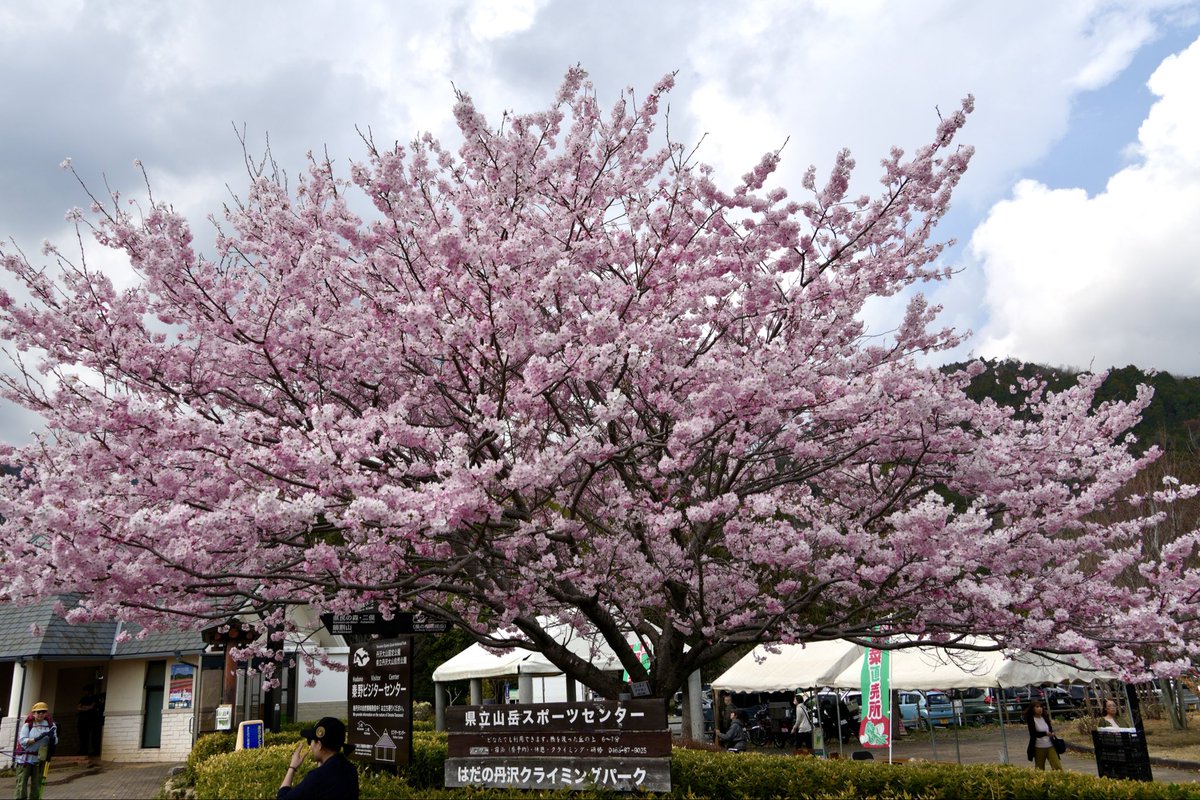 hyotanh / 秦野丹沢箱根 🏔️ tweet media