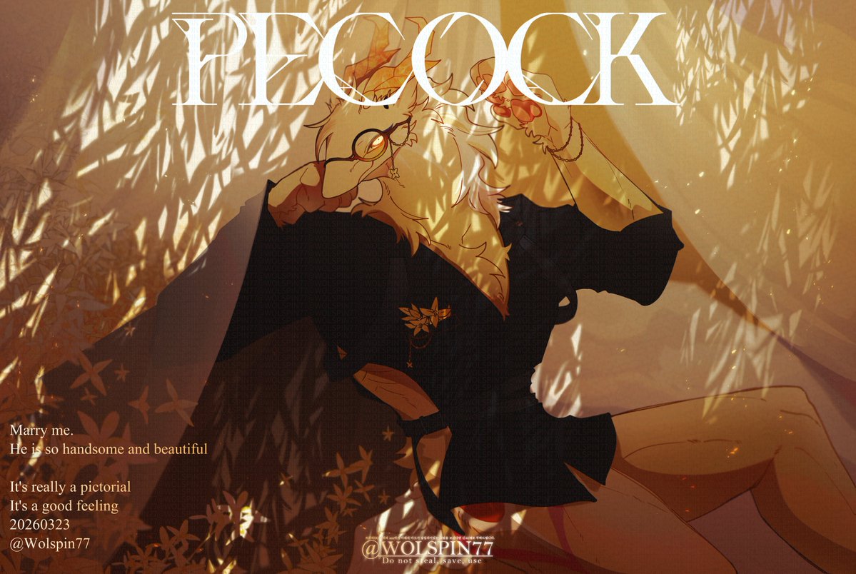 김회전 tweet media