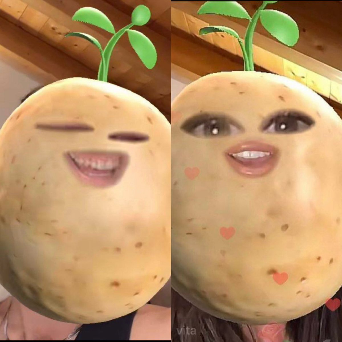 vai a fanculo….anghe tu ❤️ tweet media