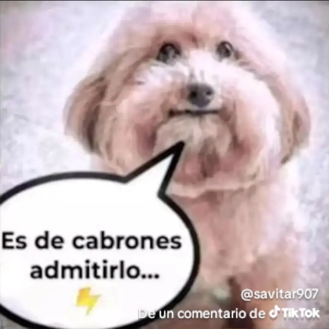 Savitar_708 tweet media