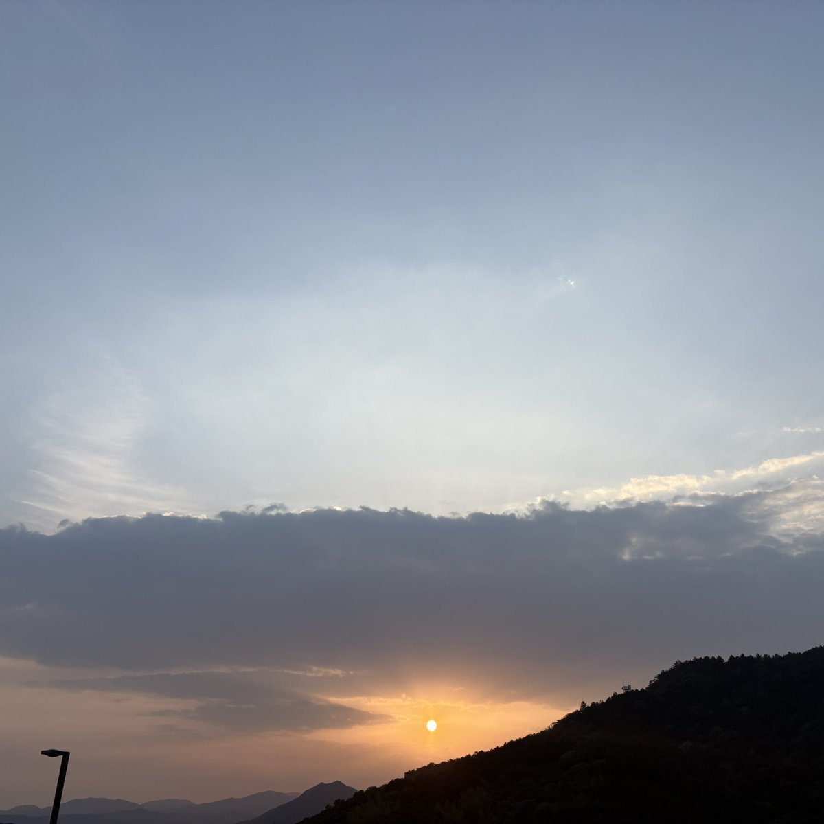 わたなべ だいすけ D.W.ニコルズ tweet media