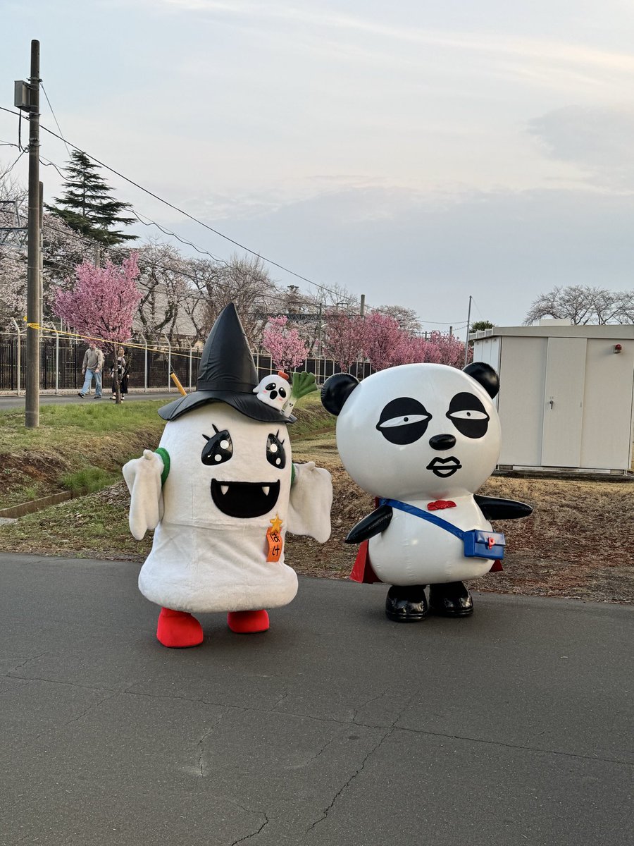 夕方の #ばけごろう と #京成パンダ