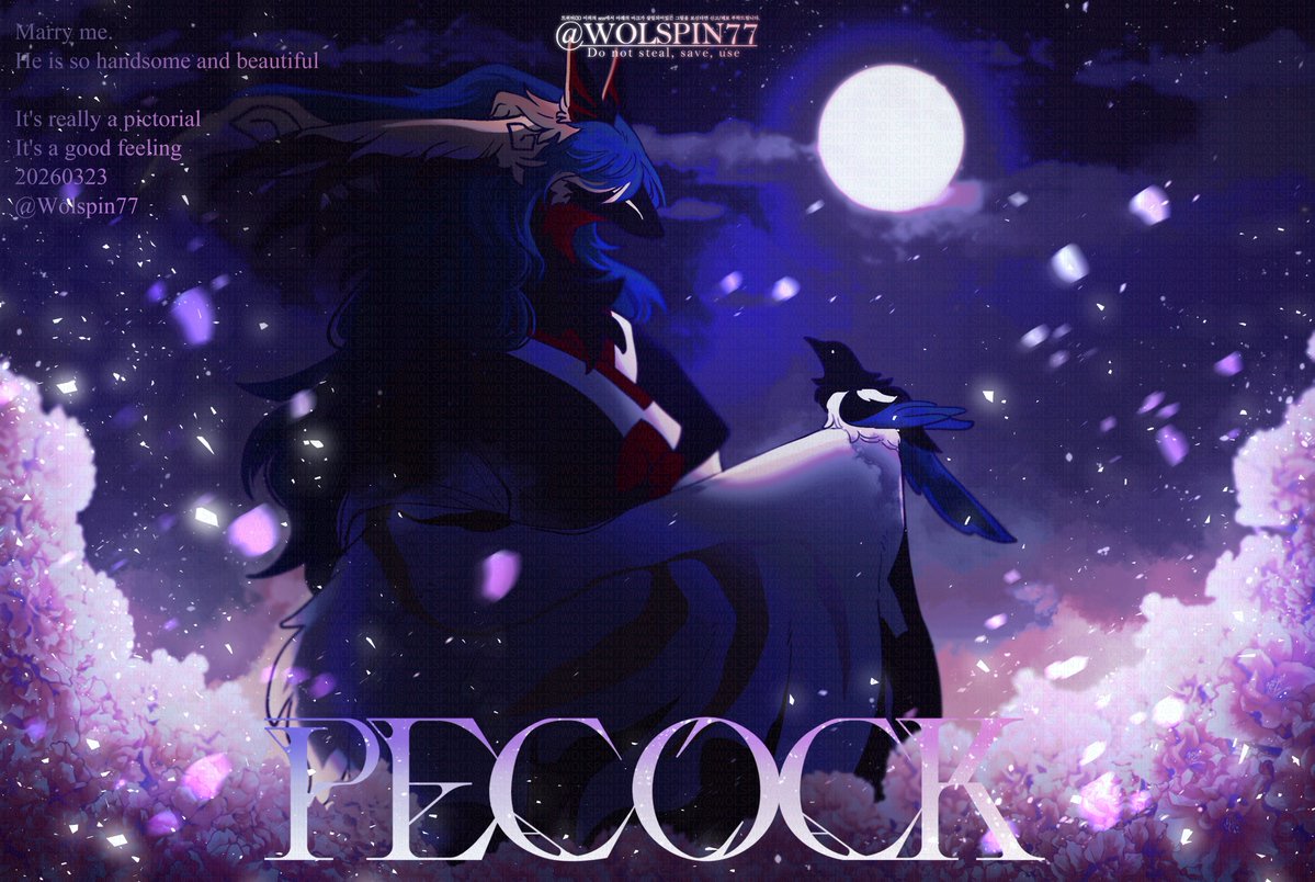 김회전 tweet media