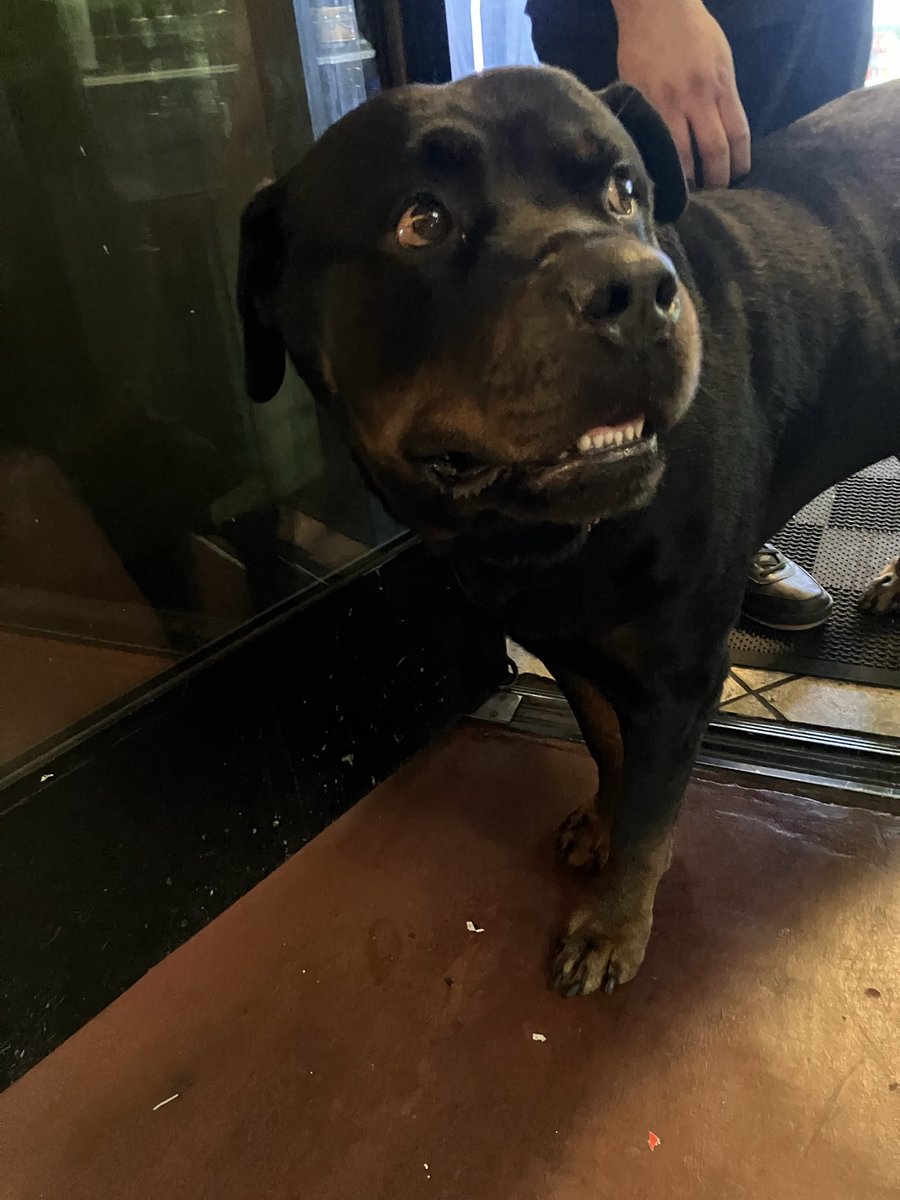 eric payne tweet media