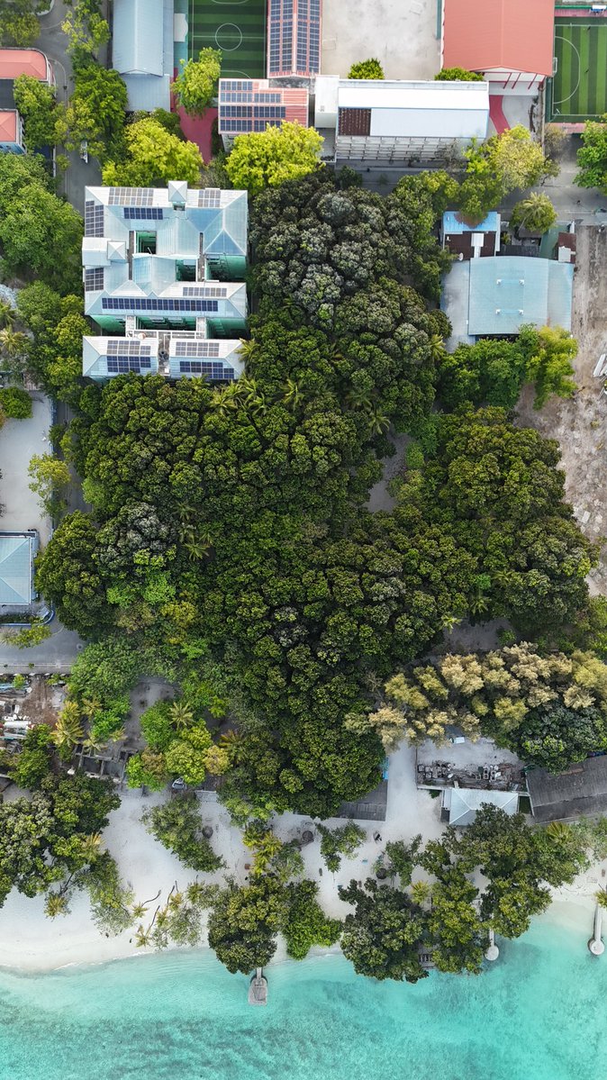 Aminath Zoona tweet media