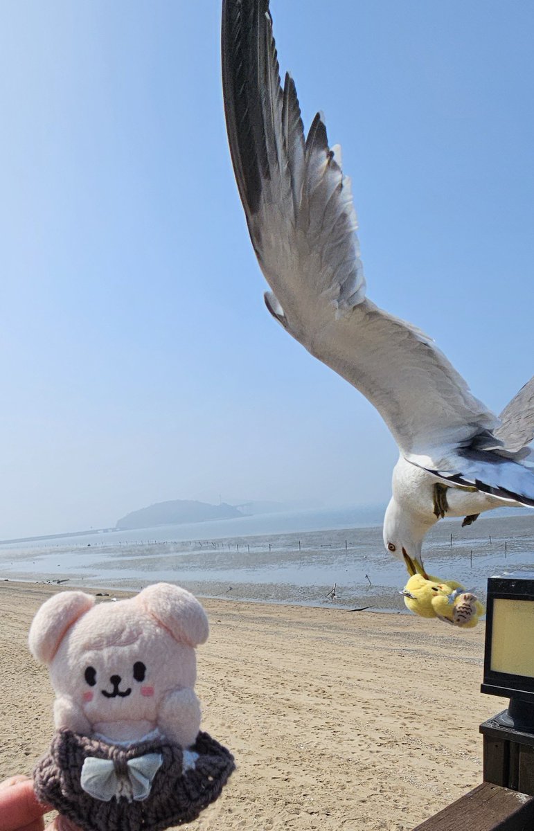 SKZ Crave tweet media