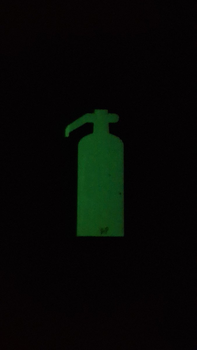 Sapo cururu na beira do Rio de Janeiro tweet media