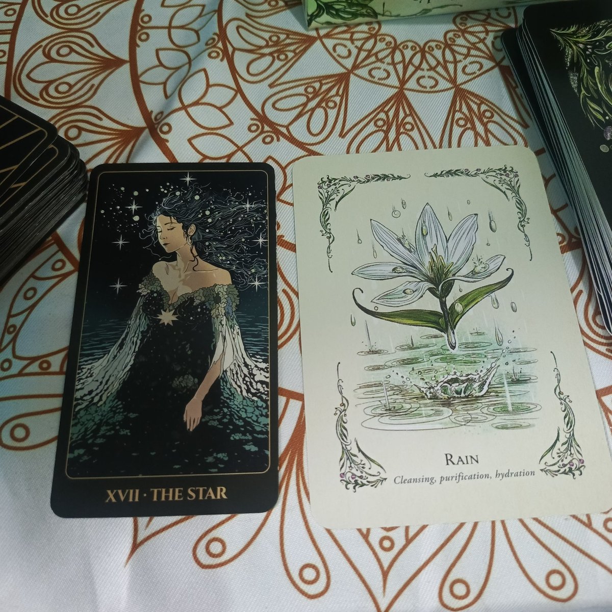 Nakata Ranupatma | HIATUS. tweet media