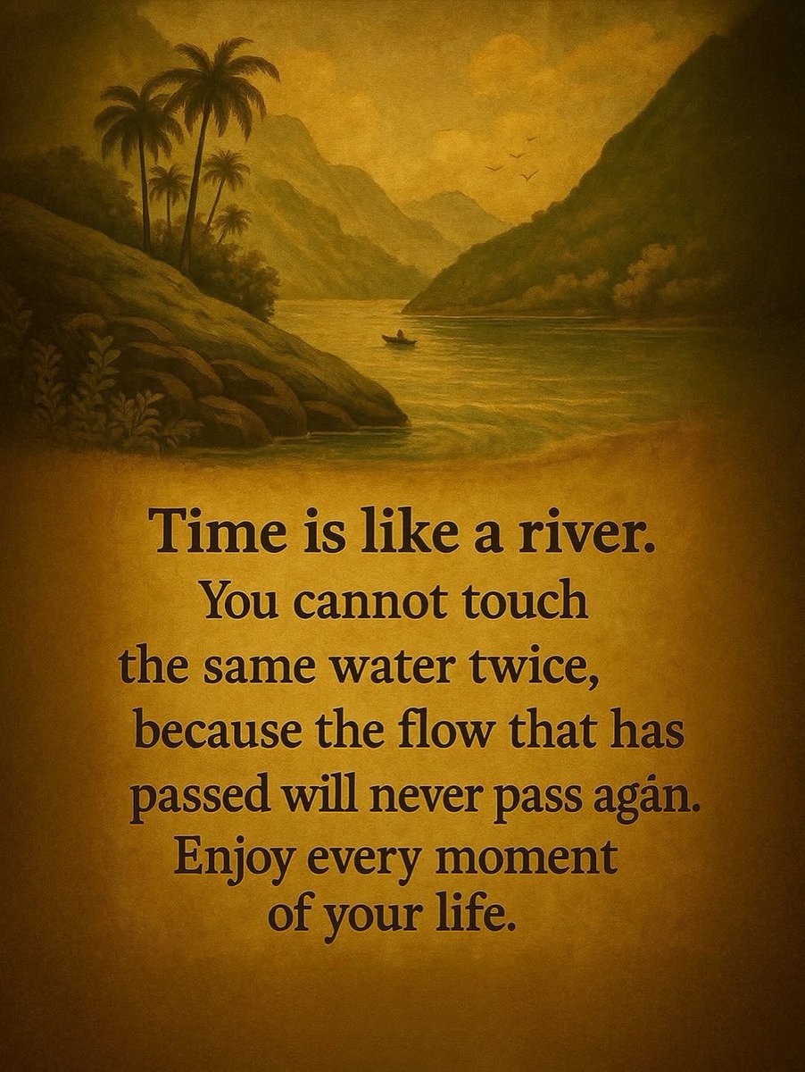 Seek Wiser tweet media