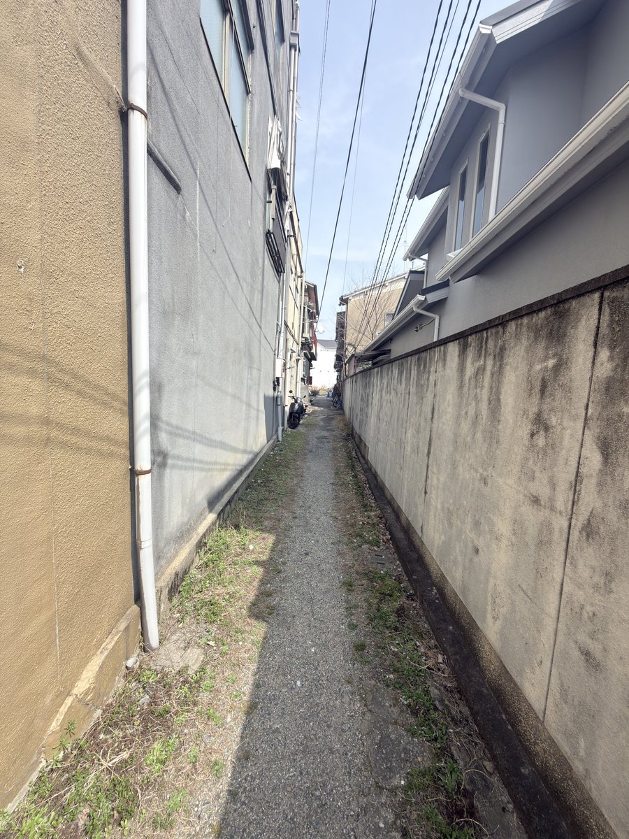 モグラが村長🕳 tweet media