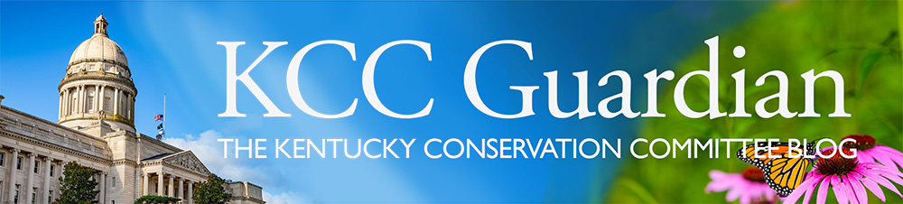 KyConservation's tweet photo. Bills in the Governor's hands, and remaining bills evolving rapidly. Read the latest environmental news in our "Week 12" General Assembly Recap. https://t.co/Xu0V0IE1x4 https://t.co/IaoAZlwo9m