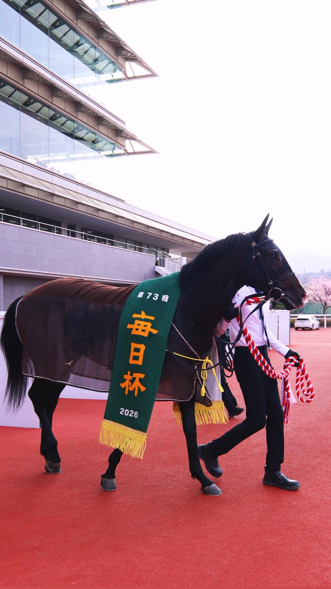 阪神競馬場【公式】 (@HanshinKeibaJo) / Posts / X