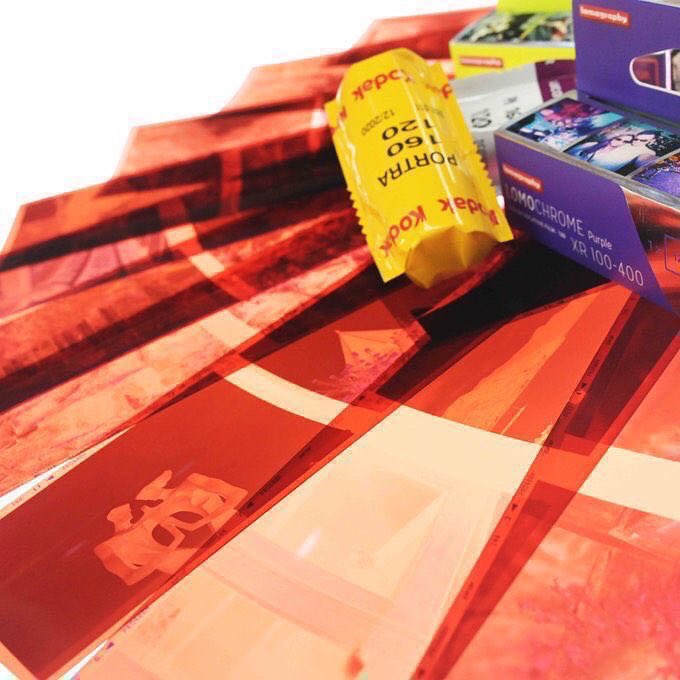 チャンプカメラ tweet media