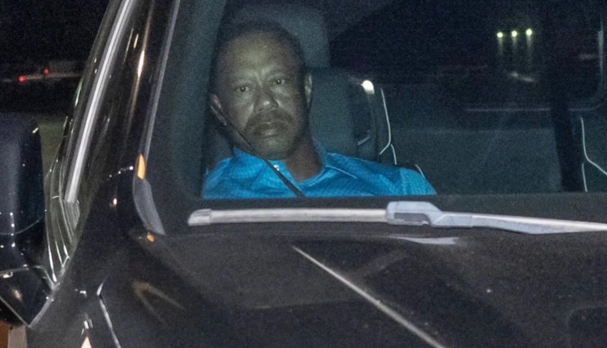 mitchellbeer tweet media