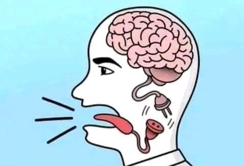 Gaimon 🐢 tweet media