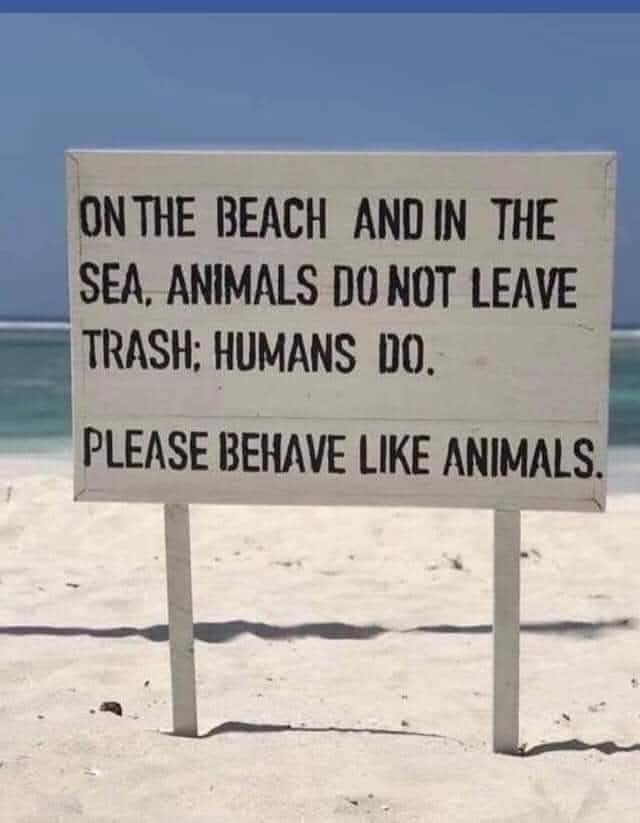 Dervilla(v) tweet media