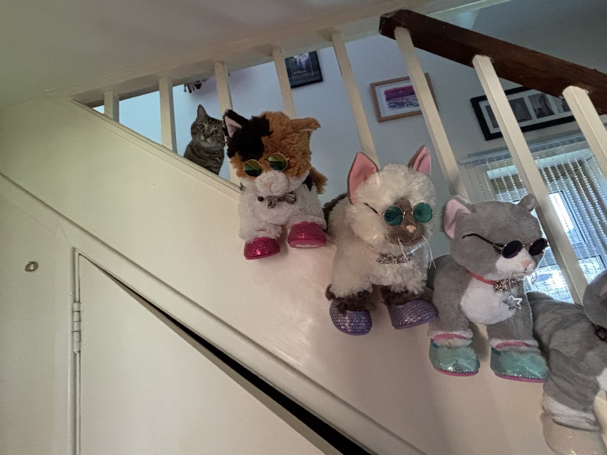 Teddy Bear - The Vicarage Meow 😺 tweet media