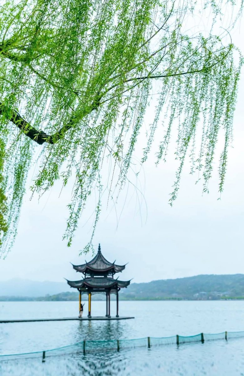 zhouyan20009's tweet photo. 浙江 杭州 西湖
West Lake, Hangzhou, Zhejiang 🇨🇳
杨柳色依依，
燕归君不归。

春天的杭州，美得让人心醉～ 😍😍 https://t.co/HMhXsWuwEU