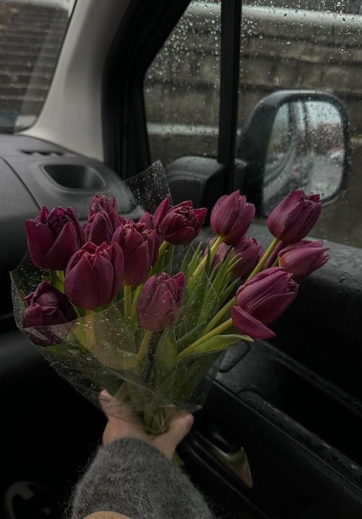 Only Tulips tweet media