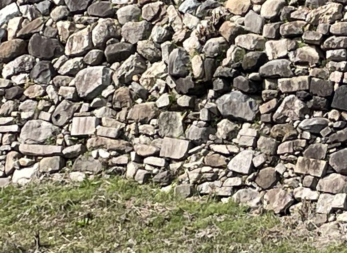 masashi関東城巡り最近遠征してます tweet media