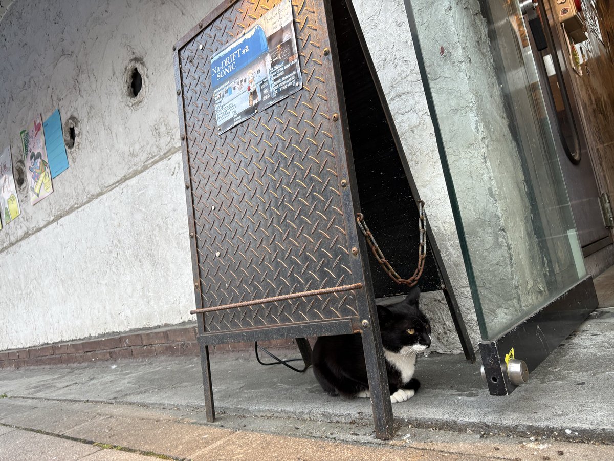 きつねうどん tweet media