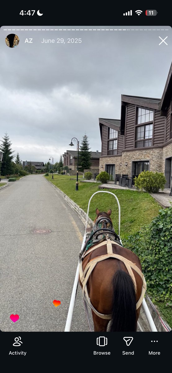 #iba_to_the_end tweet media