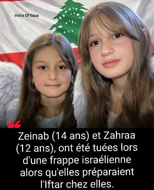 fari1722 tweet media