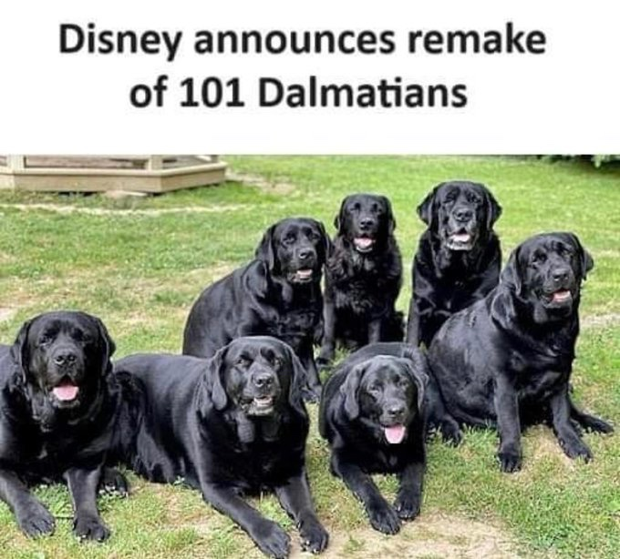 Community Notes & Violations tweet media