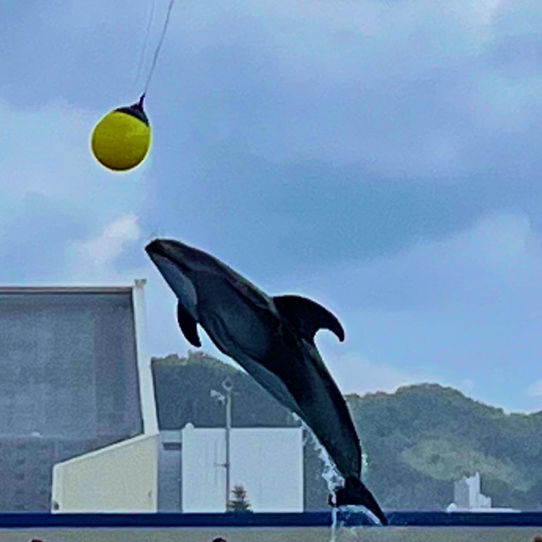 えりゅ(右) tweet media