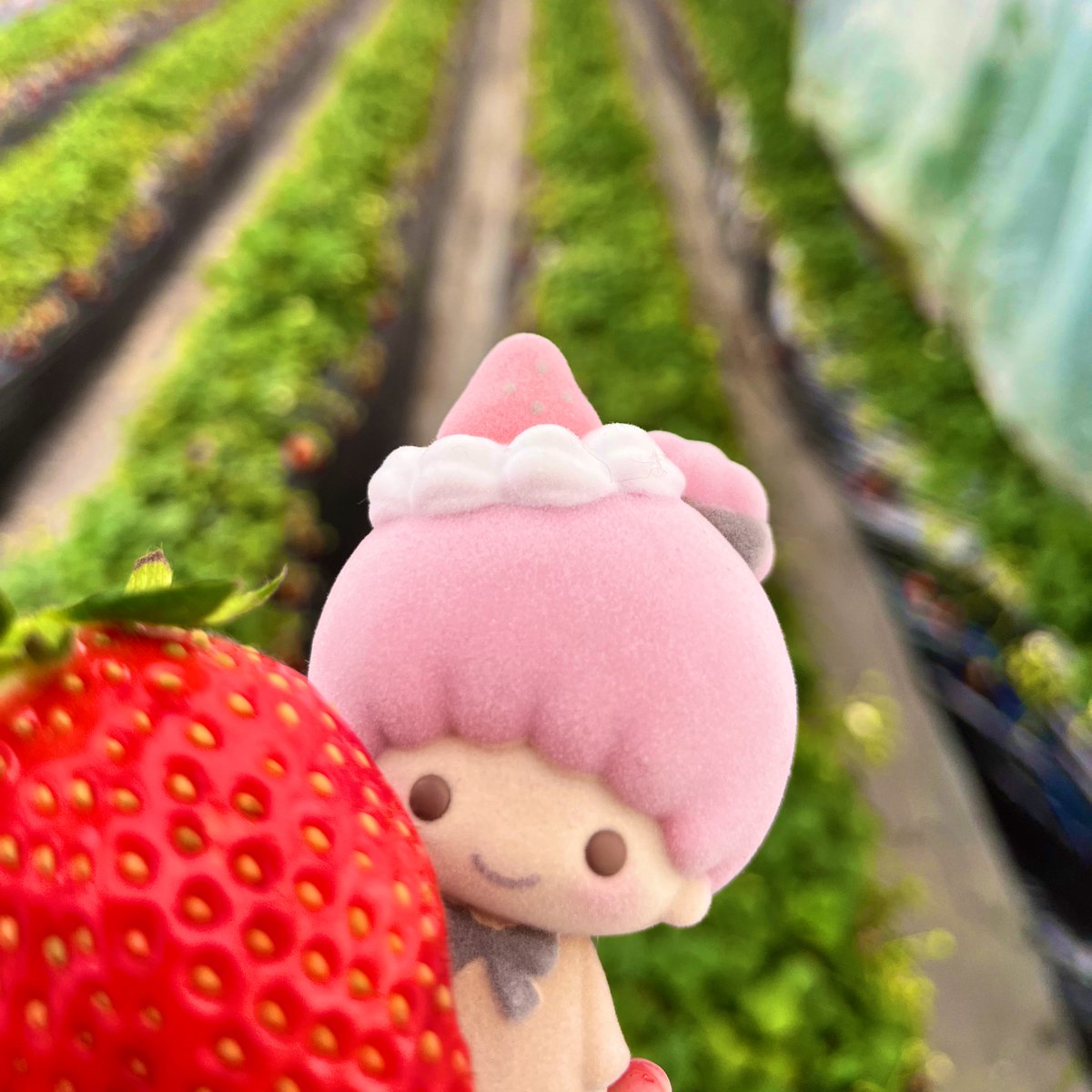 えりゅ(右) tweet media