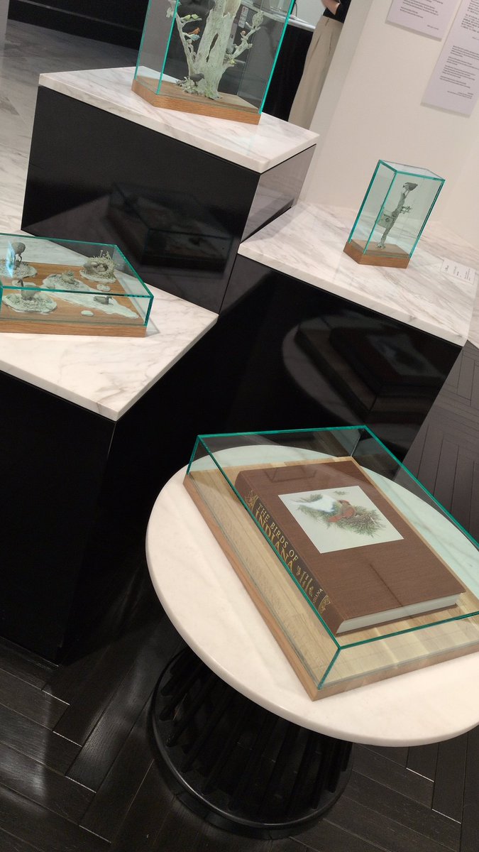 ちくわ Chikuwa tweet media