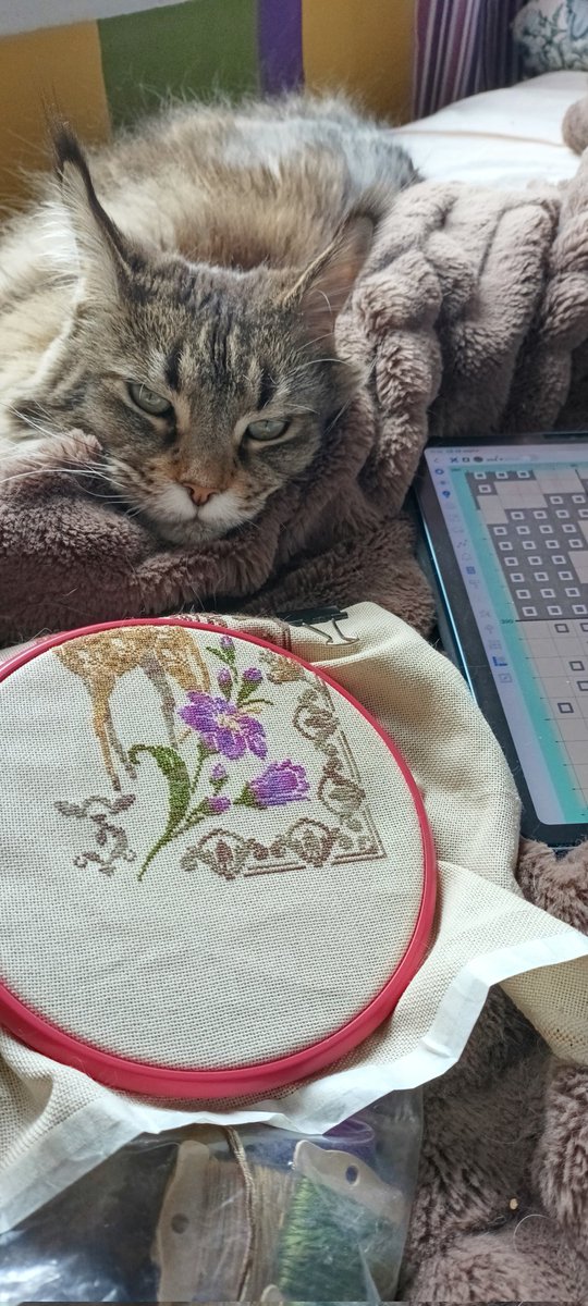 Вчера был план распечатать эскиз и засесть за батик. 
Но комп и монитор рассорились, поэтому я без принтера, в печали и в вышивании. 
КошкаПеченг бдит как я вышиваю.