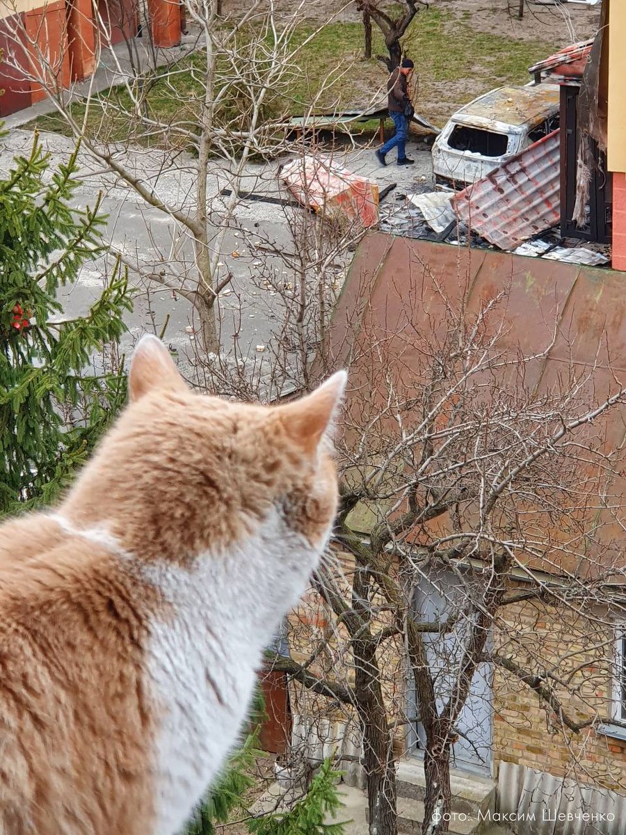 Terry F. tweet media