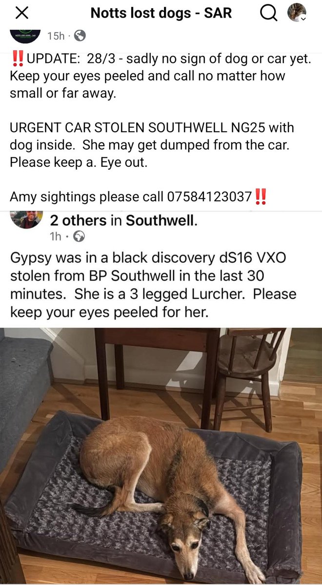 SassPirelli tweet media