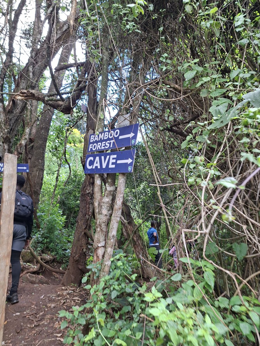 Kiplongu Rodgerz tweet media